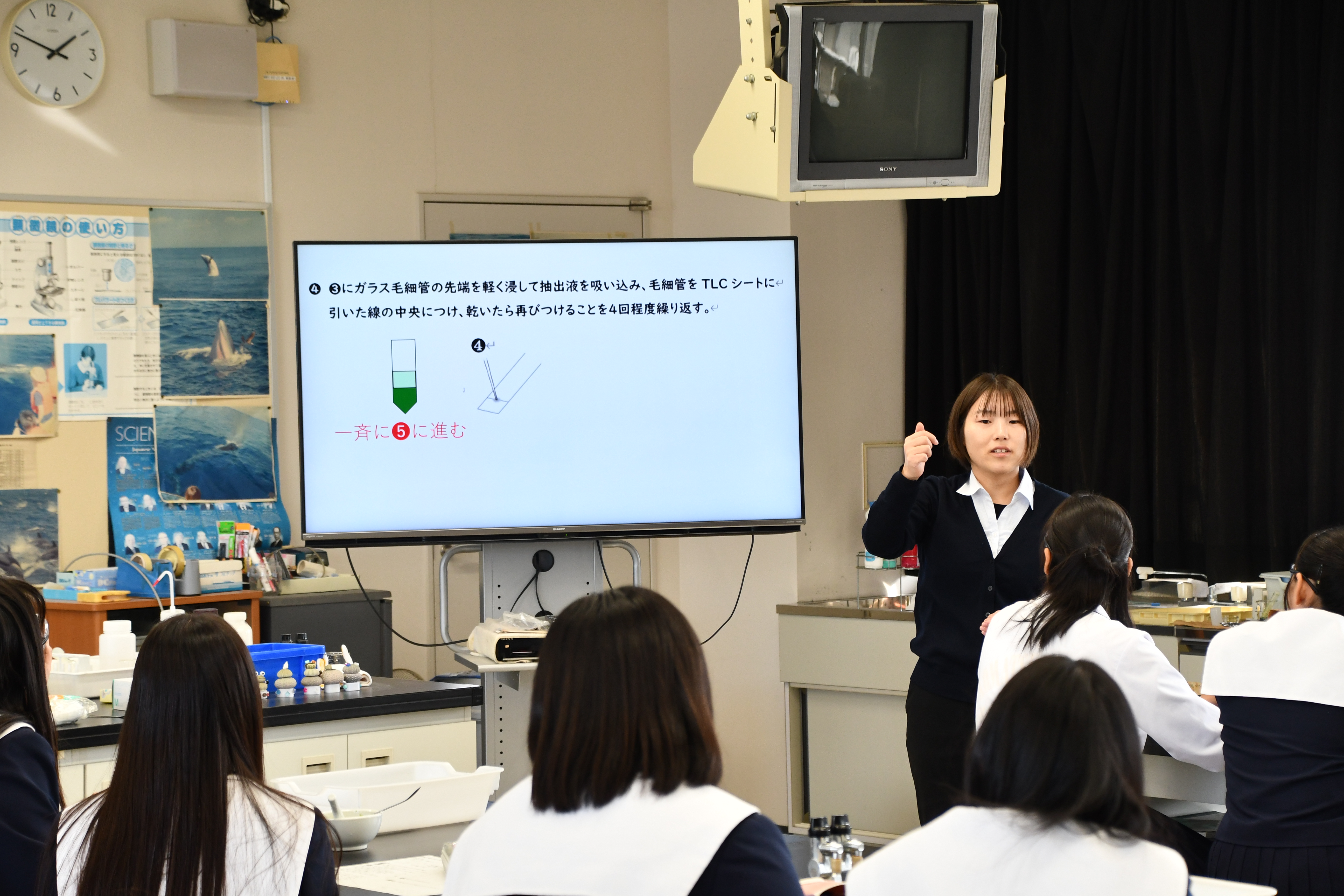 光合成色素の分離２