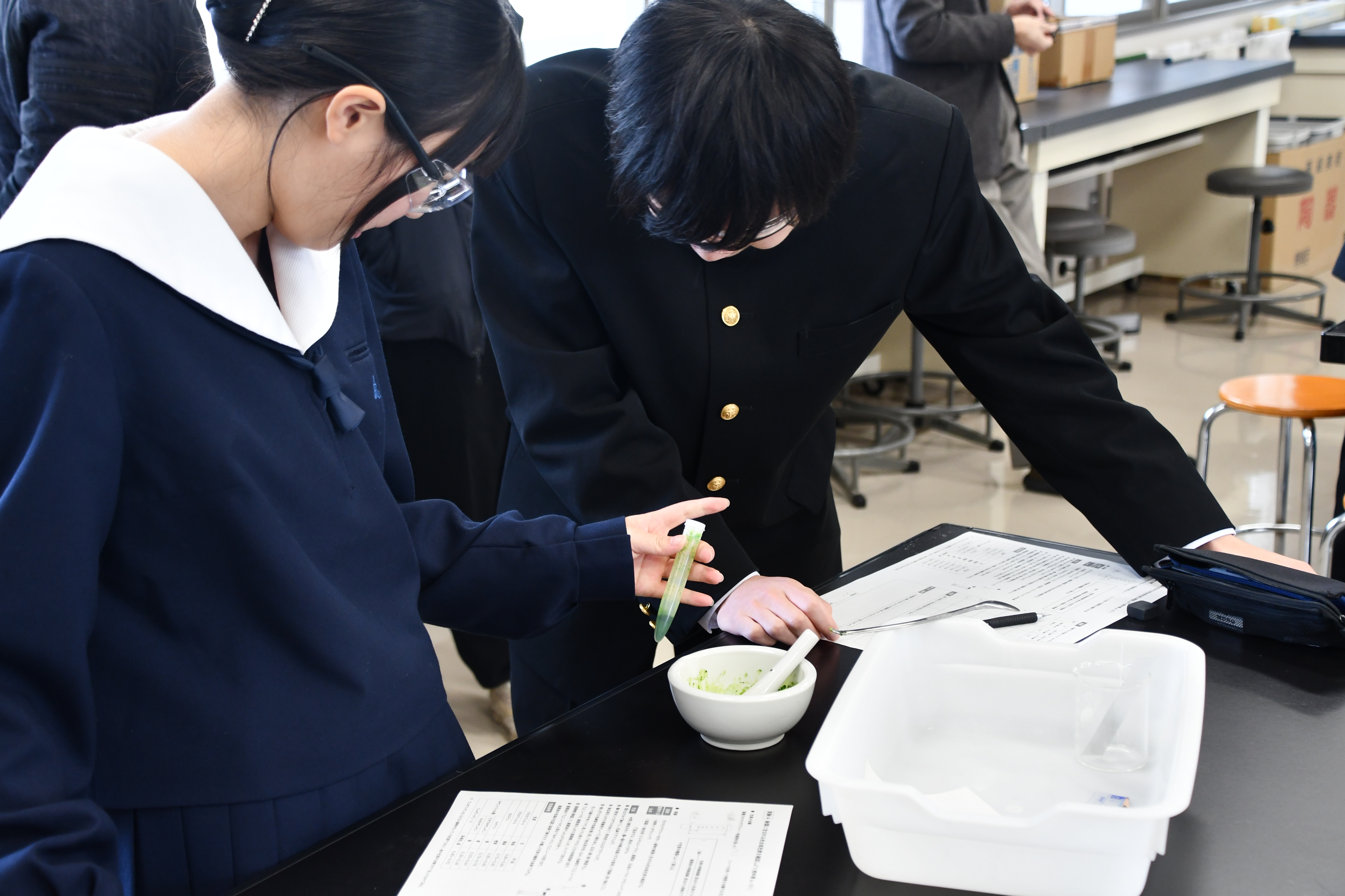 光合成色素の分離１